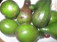 Avocado Pear